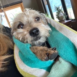 Meet your Posher, Anna